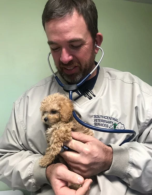 doc holding puppy