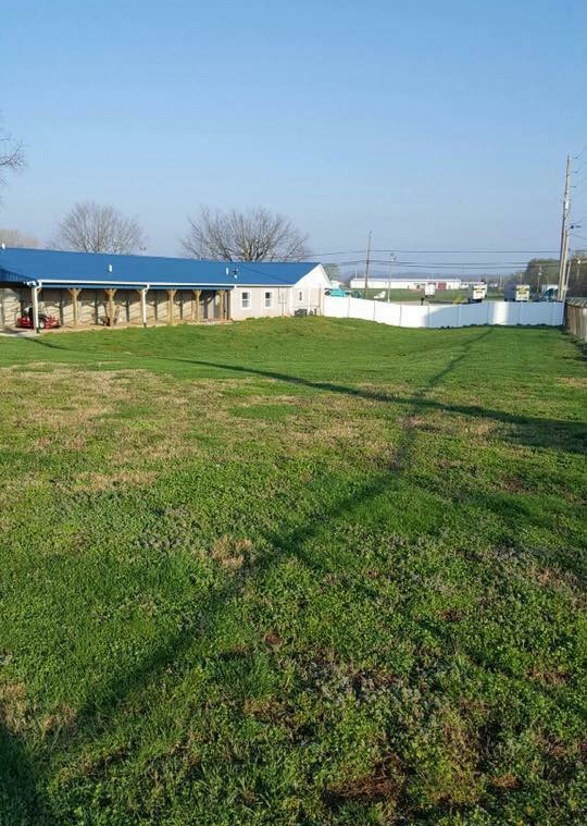 Cat and Dog Kennel in Bowling Green, KY