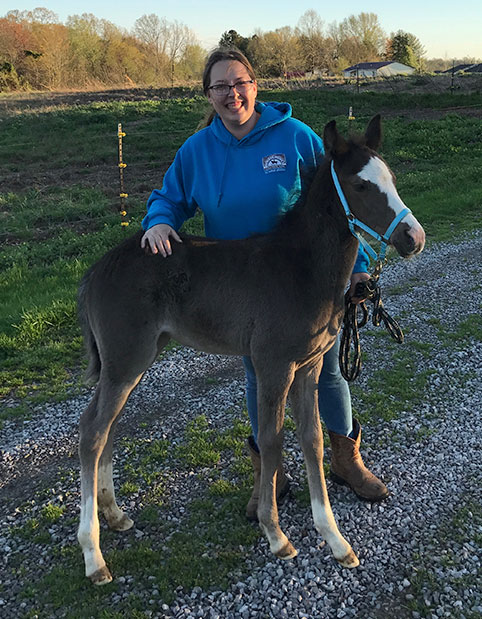 standing-with-pony Equine Vaccinations in Bowling Green, KY