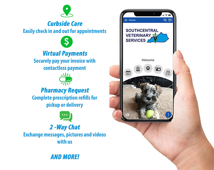 download our veterinary app