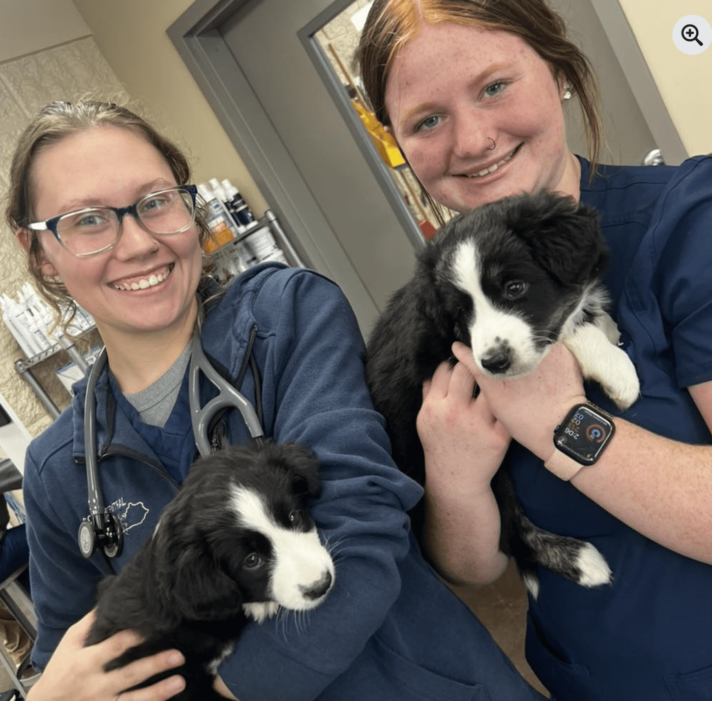 Screen Shot 2025-09-14 at 3.38.59 PM