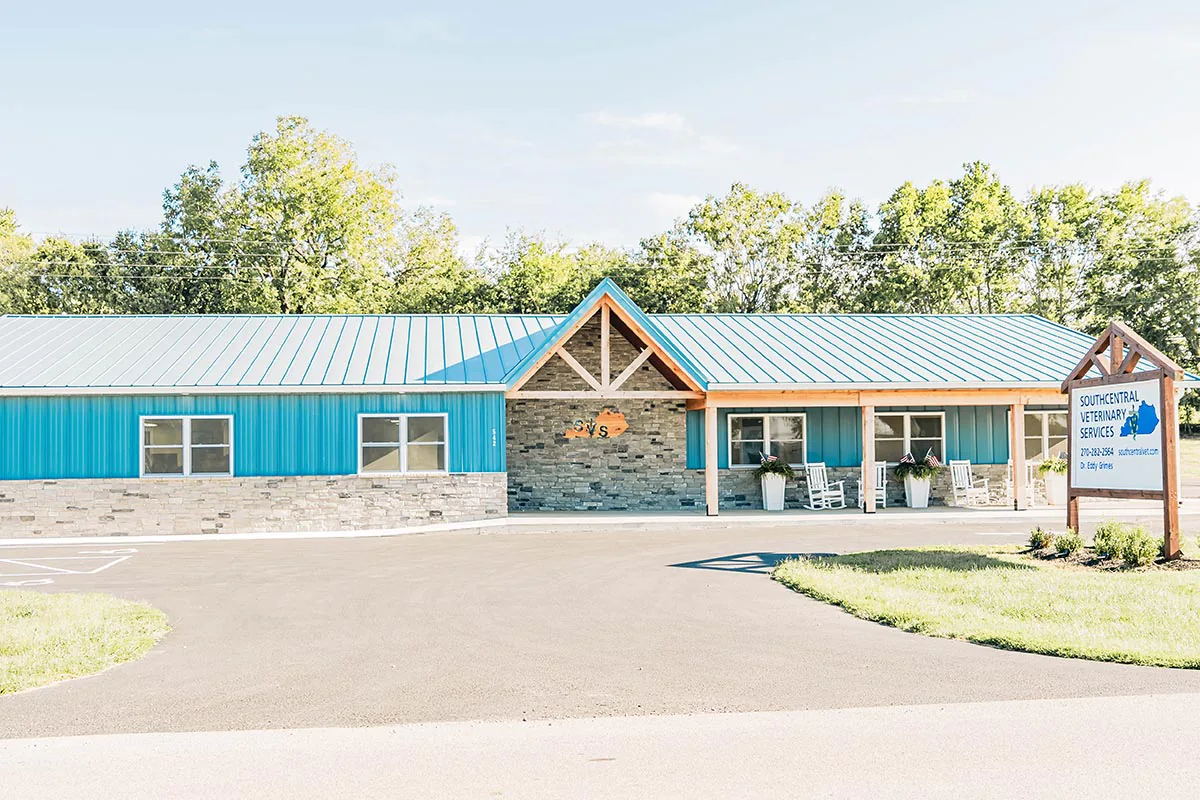 exterior building of Southcentral Veterinary Services