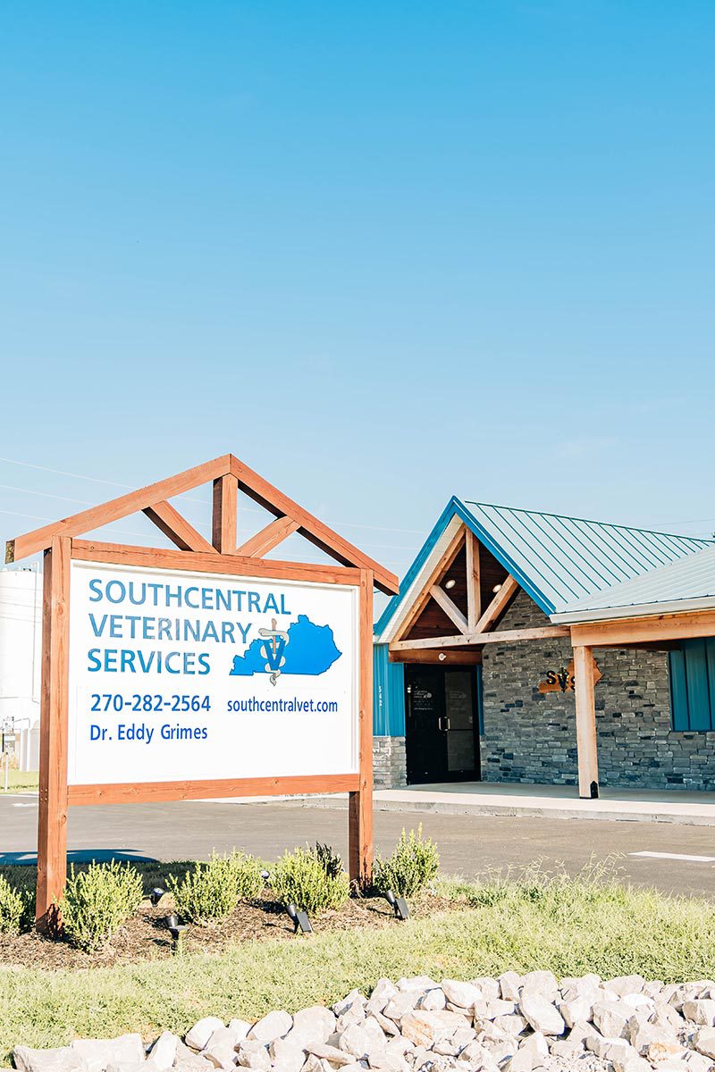 Southcentral Veterinary Services sign outside with exterior building in background