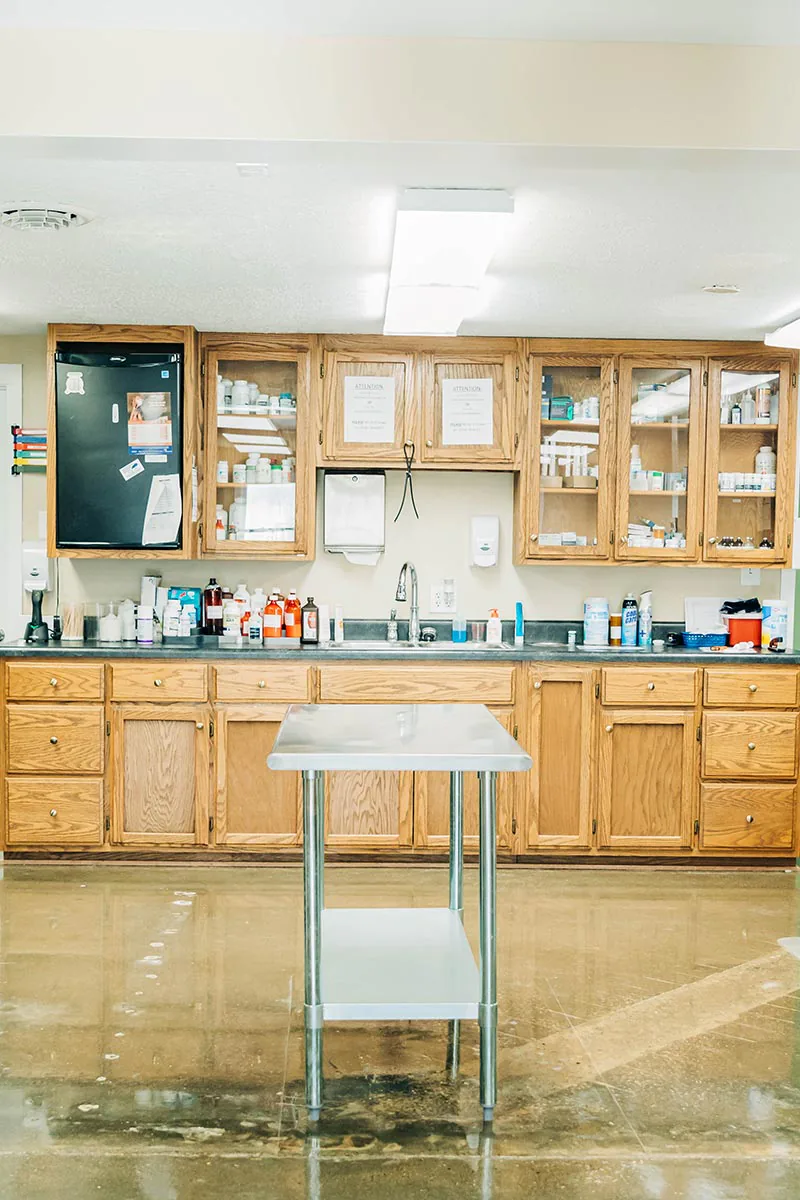 wooden cabinets in pharmacy area stocked with medications