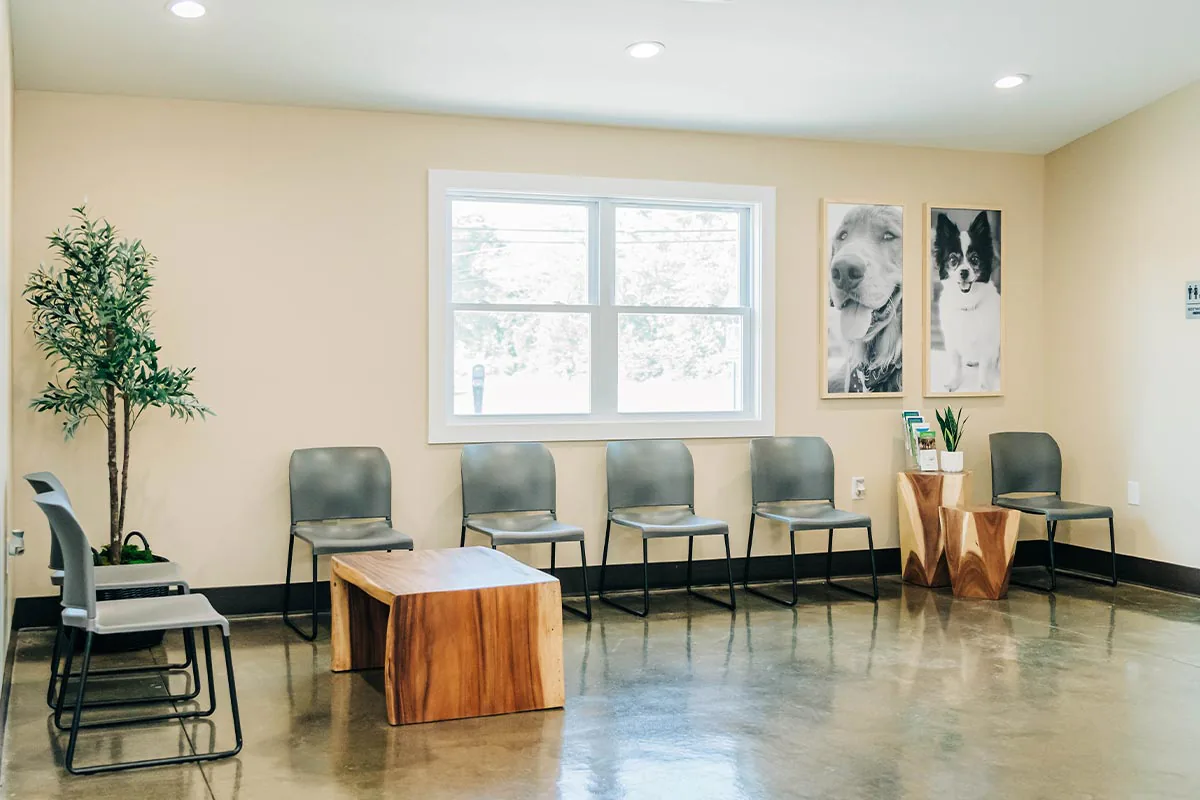 waiting area with chairs, wooden coffee table and black and white photos of pets on walls