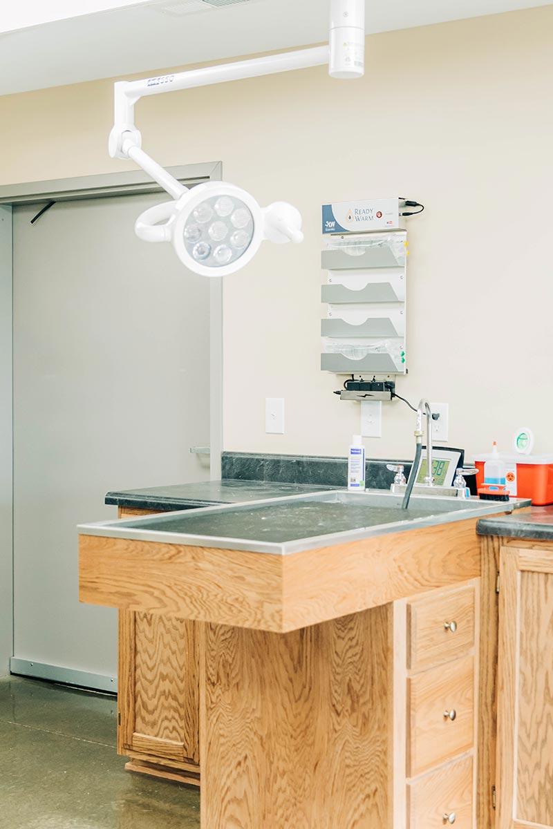 operating area with surgical light