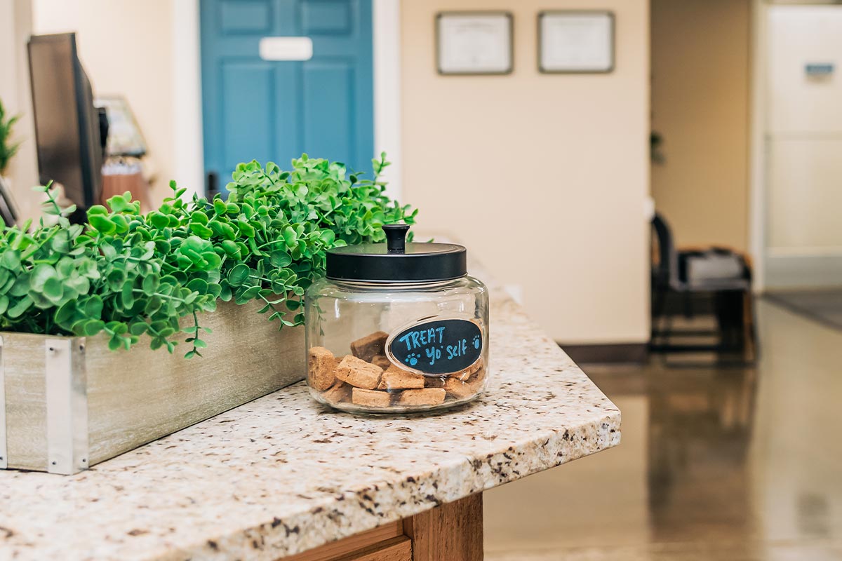 marble countertop with treats in jar that has a label that says "Treat Yo' Self"