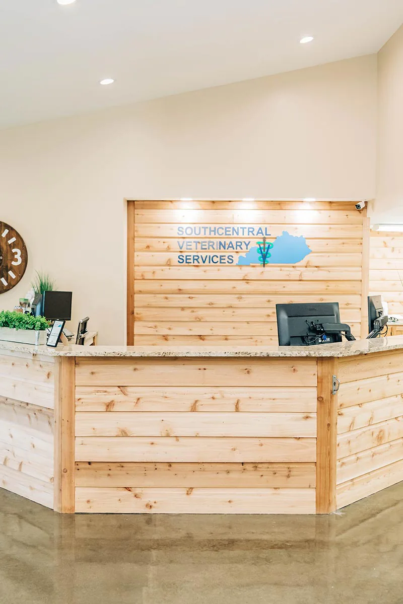 front desk area of Southcentral Veterinary Services