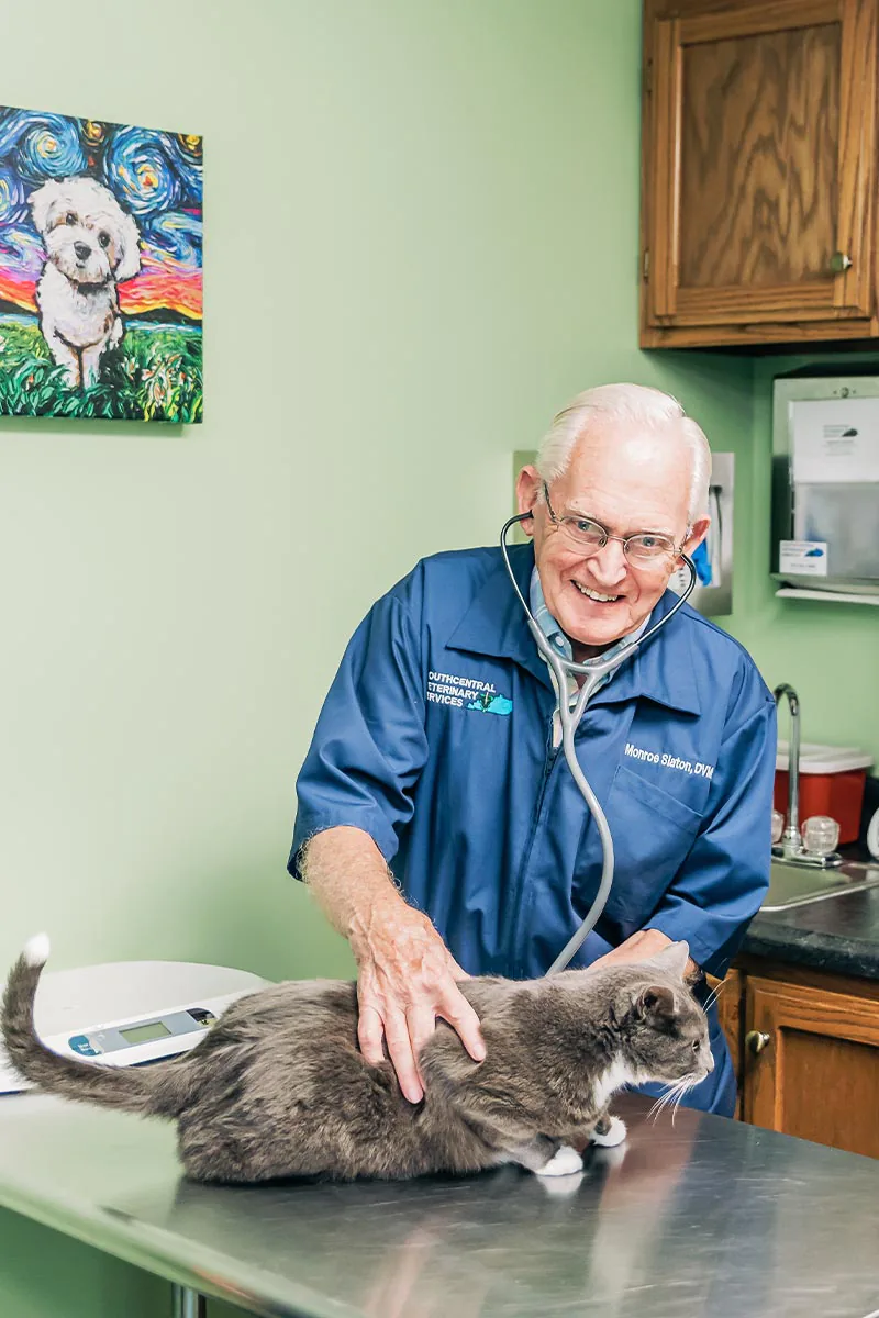 male veterinarian smiling while using stethoscope to check cat's heartbeat