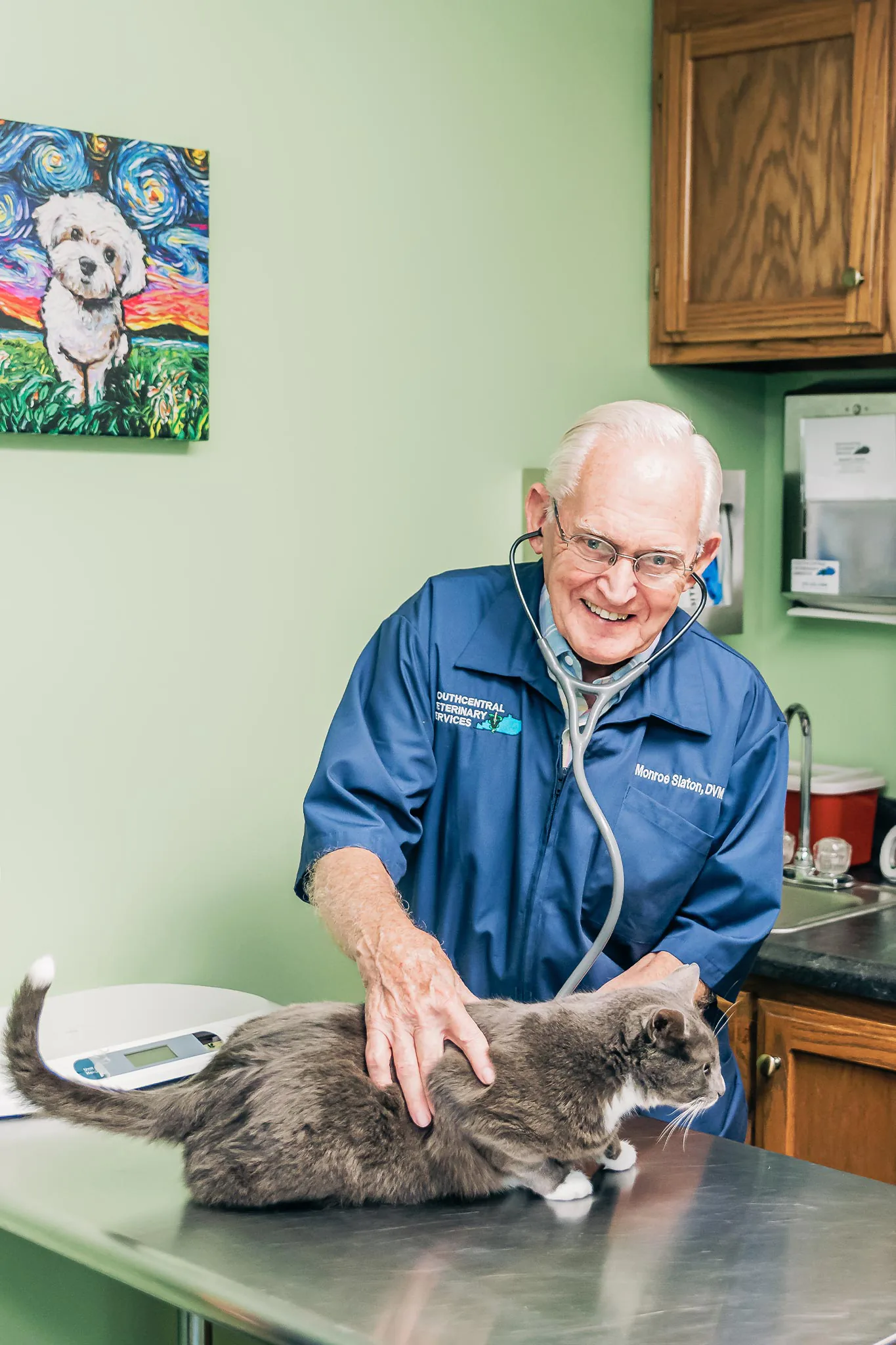 male veterinarian smiling while using stethoscope to check cat's heart